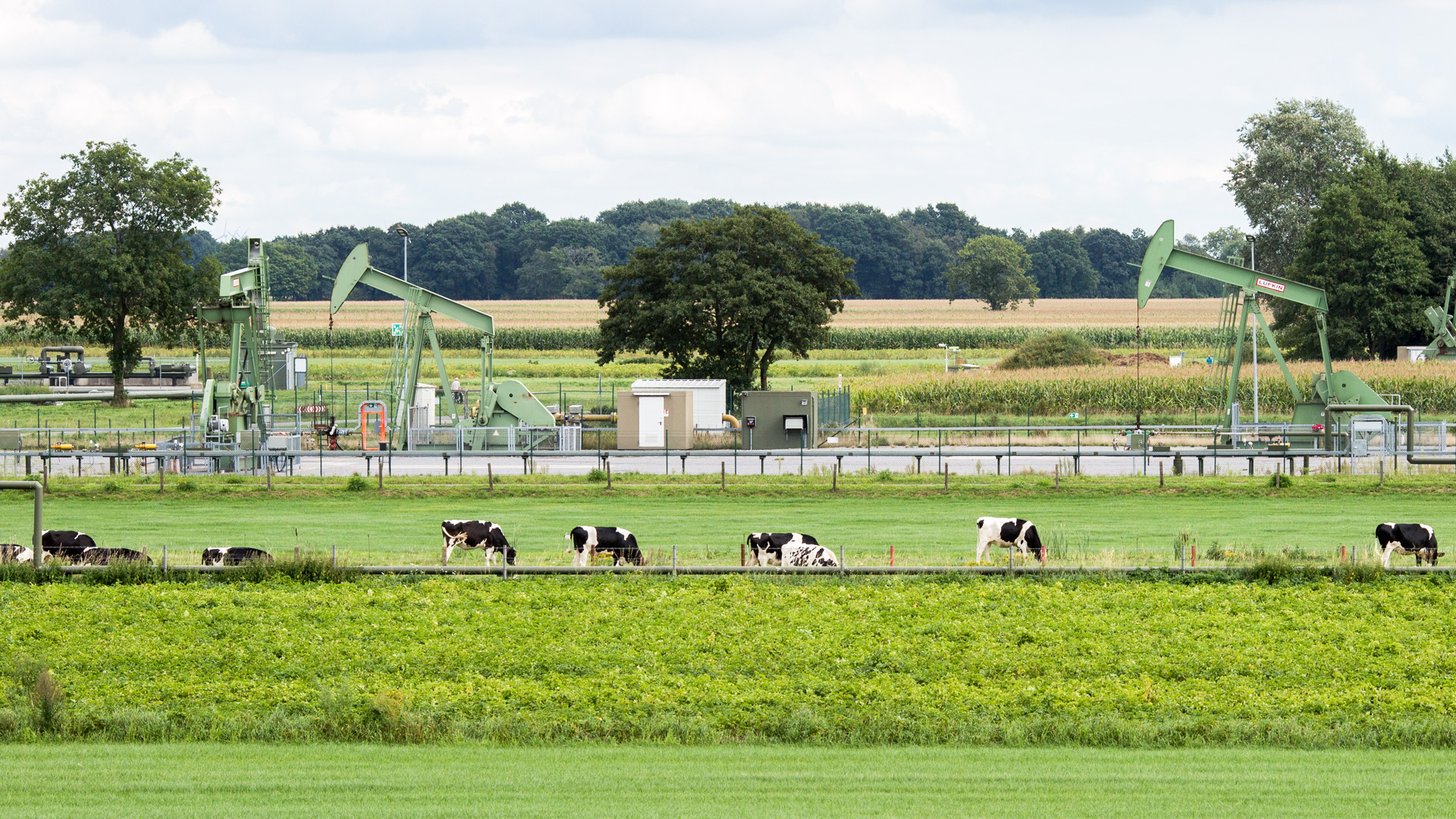 Wintershall Dea Emlichheim Erdölfeld