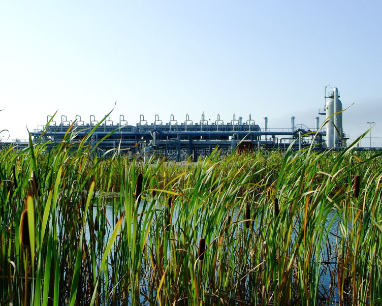 Wintershall Dea Erdgasspeicher Rehden