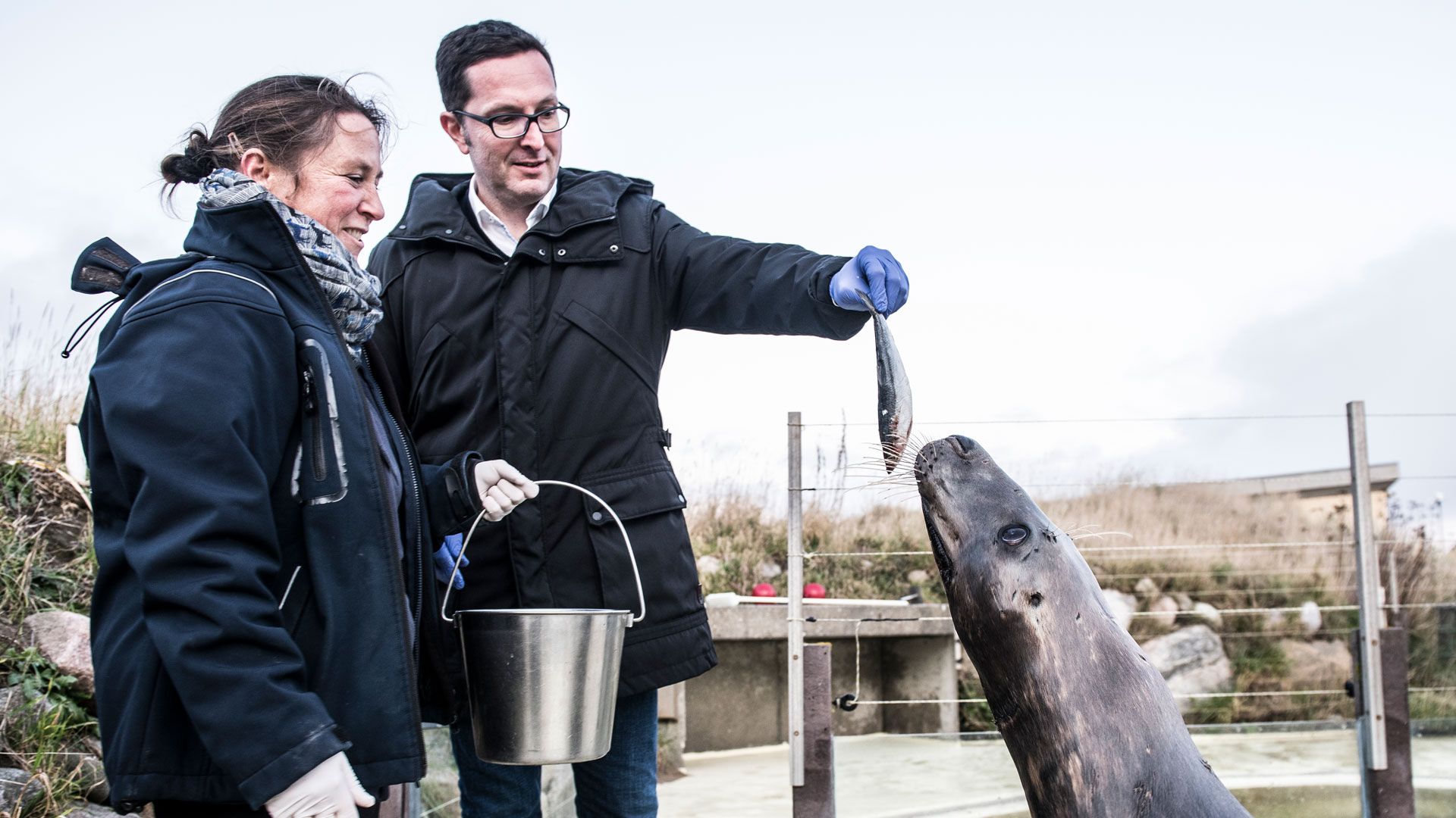 Wintershall Dea Mario Mehren füttert Kegelrobbe