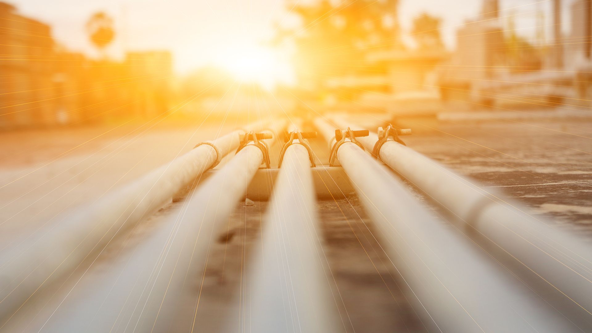 Wintershall Dea Allensbach survey hero