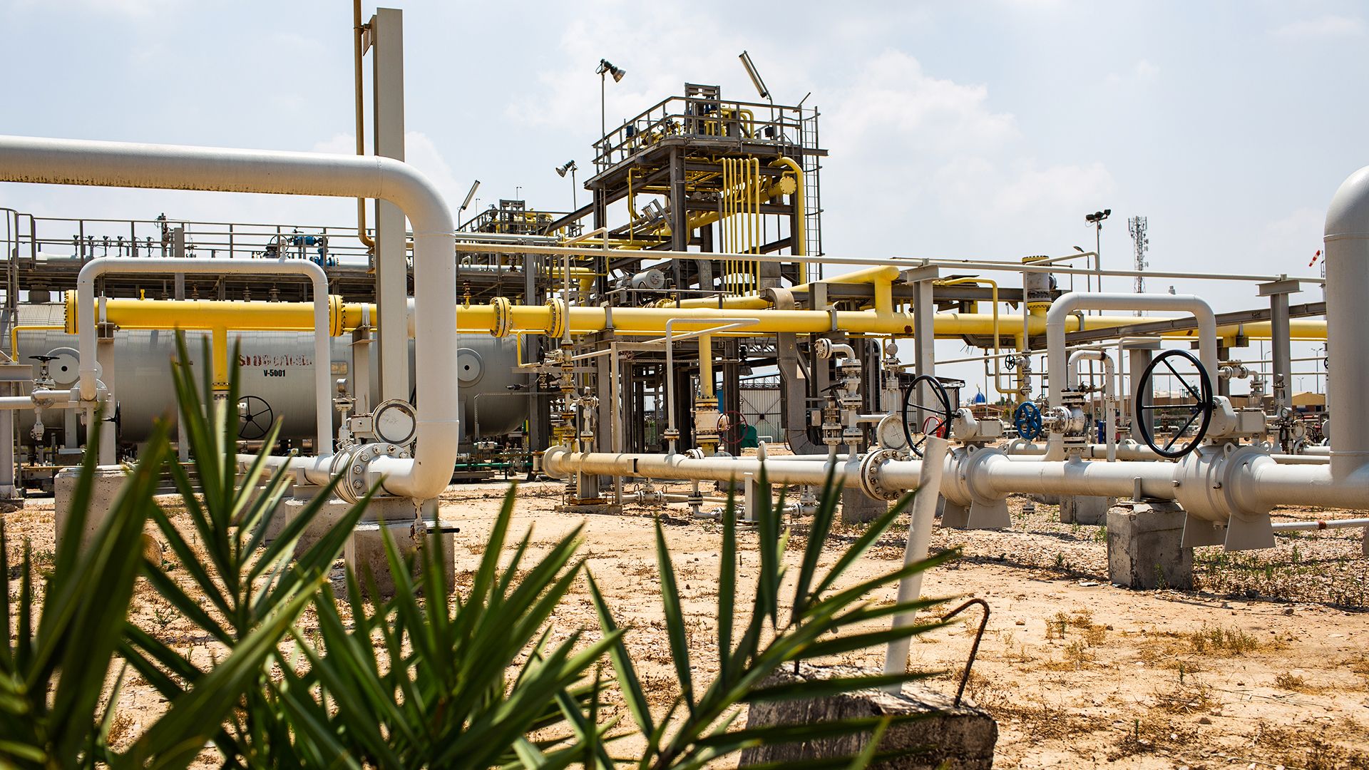 Wintershall Dea EGAS