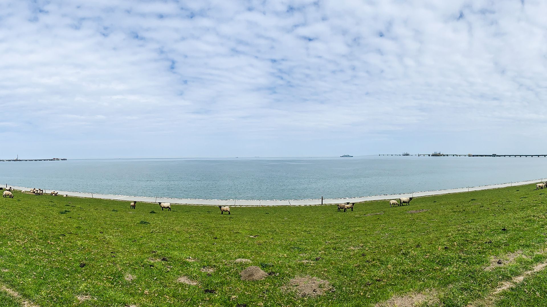 Wintershall Dea NWO Kooperation