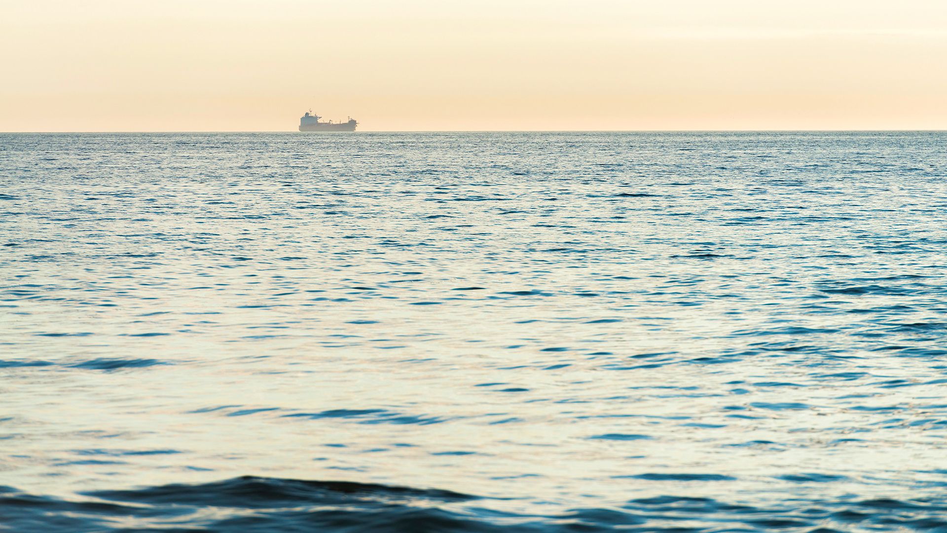 Wintershall Dea APA Awards Norway