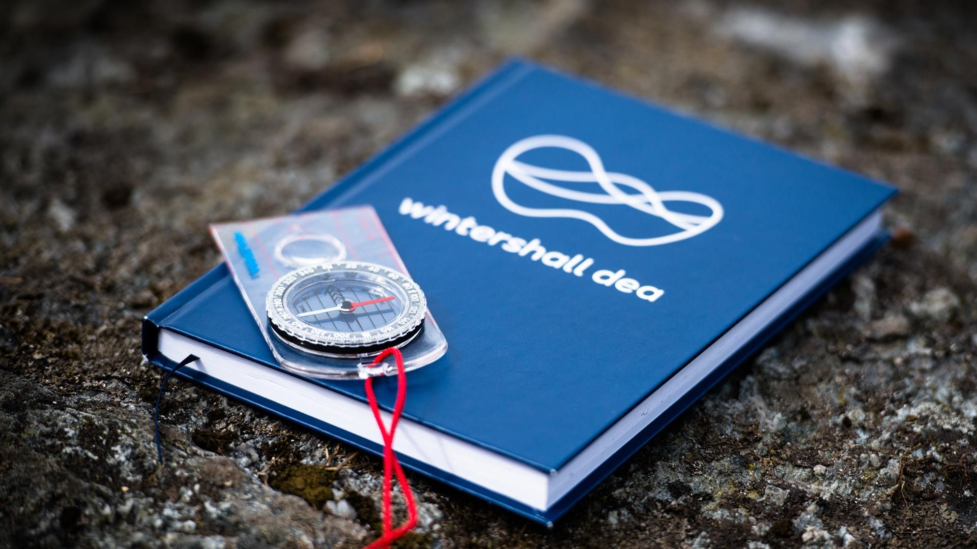 Wintershall Dea Civey Survey Results