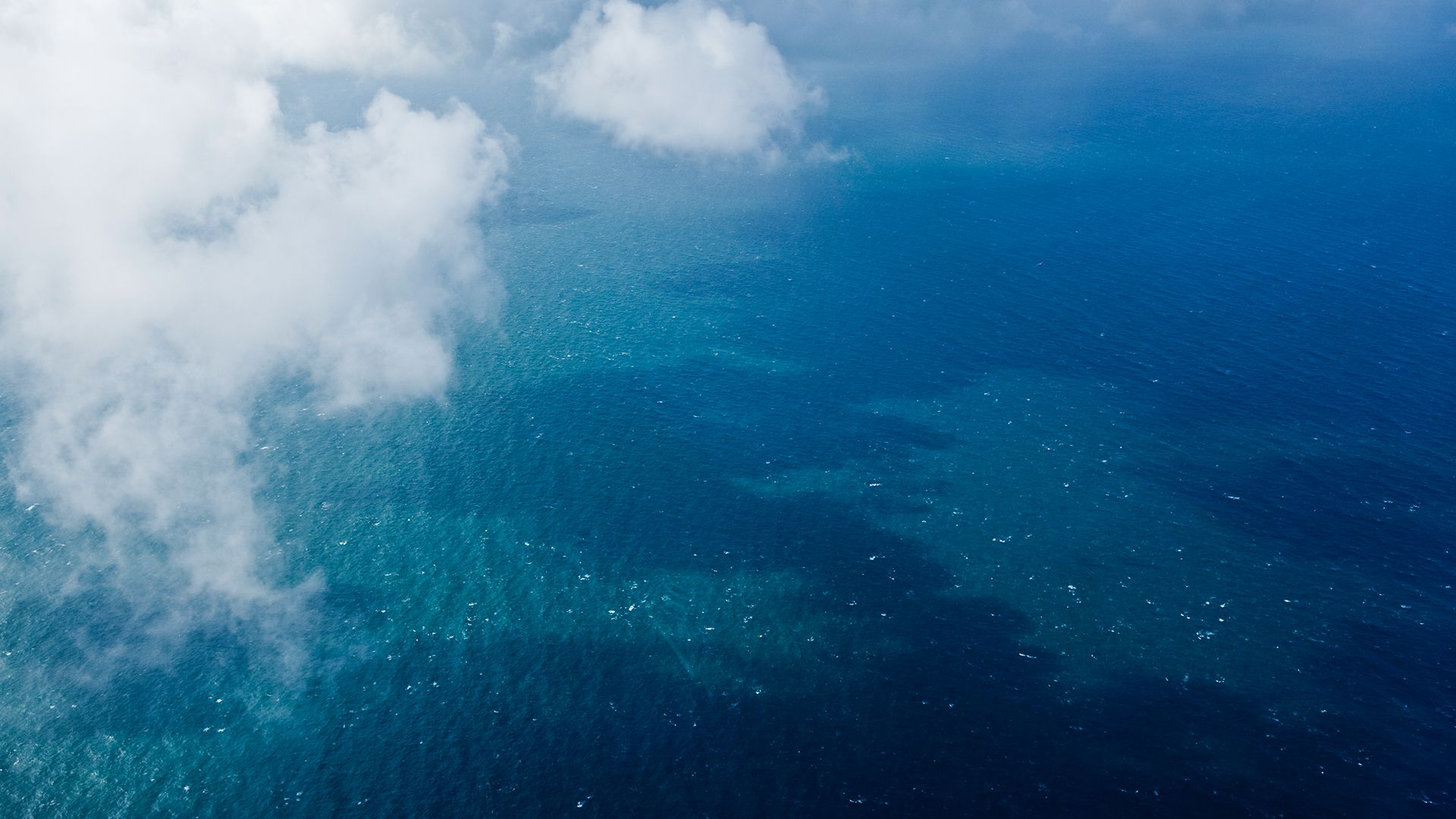 Wintershall Dea awarded 13 exploration licences on the norwegian continental shelf