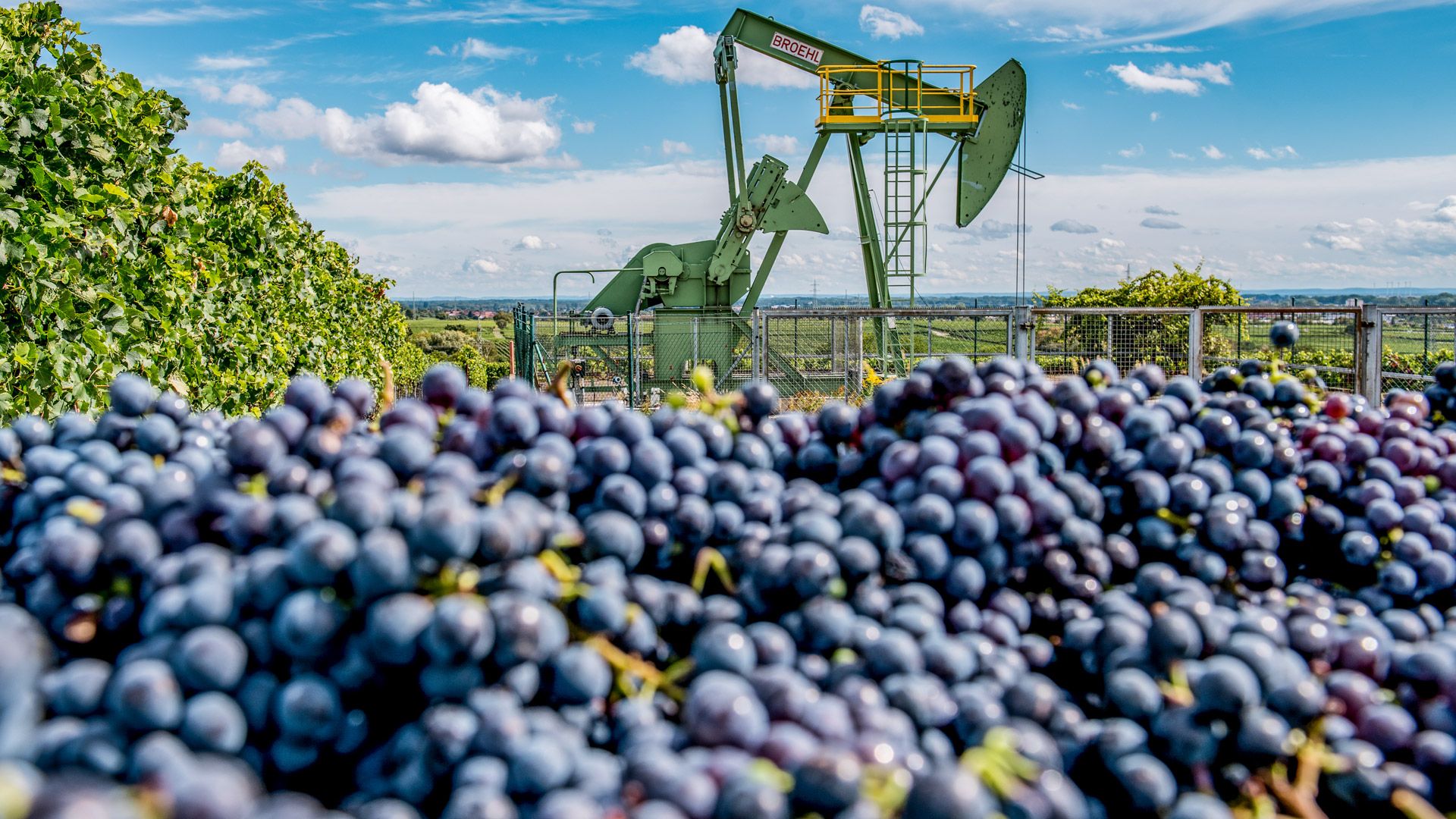 Wintershall Dea Standort Landau Weinberg