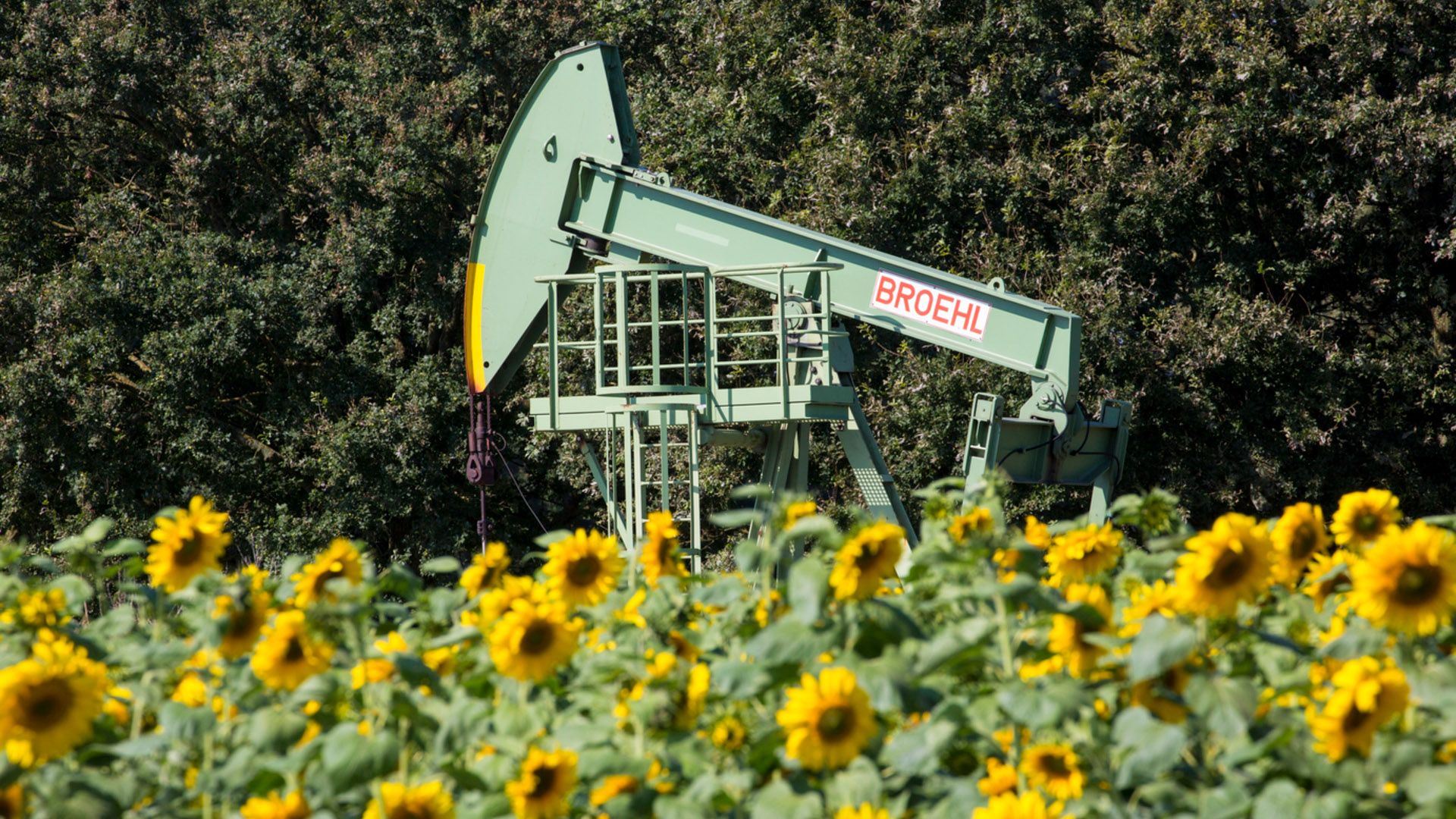 Wintershall Dea Commodities Sector