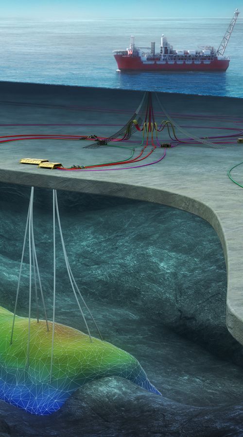 Graphic depiction of the Ærfugl project