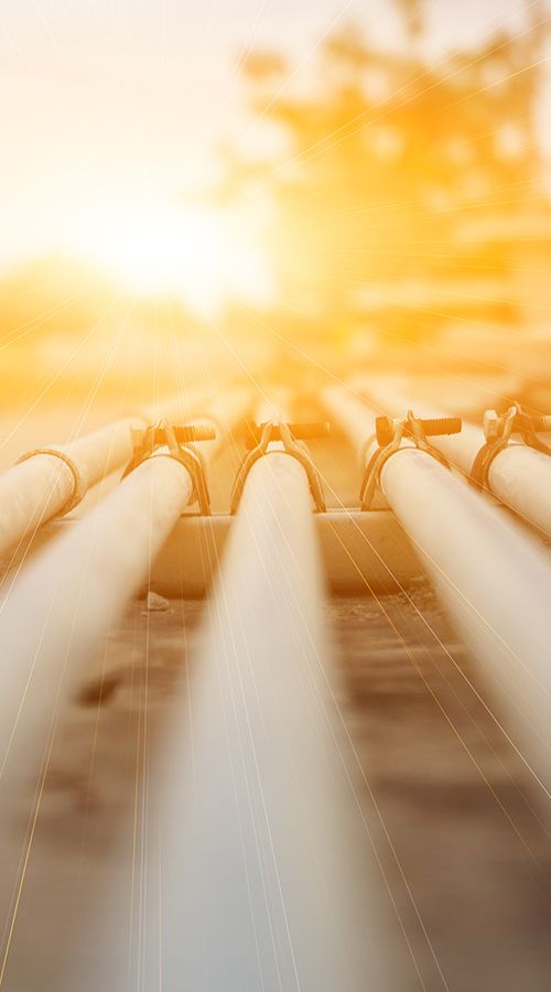 Wintershall Dea Allensbach survey hero