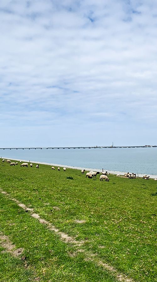 Wintershall Dea NWO Kooperation