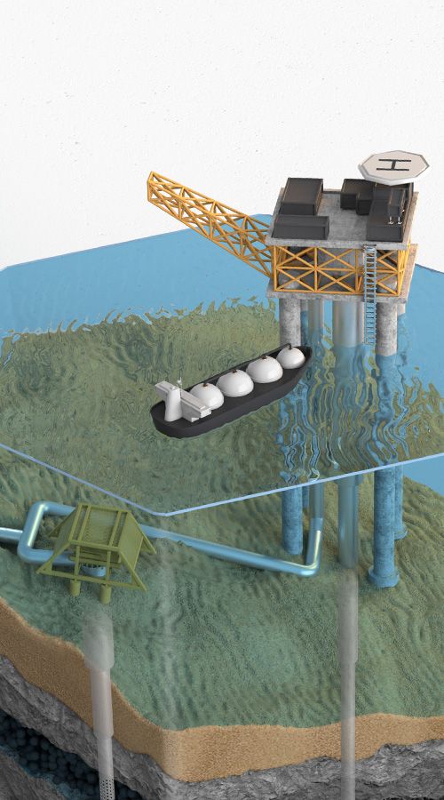 model of carbon capture and storage program