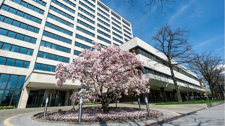 Office building with magnolia upright