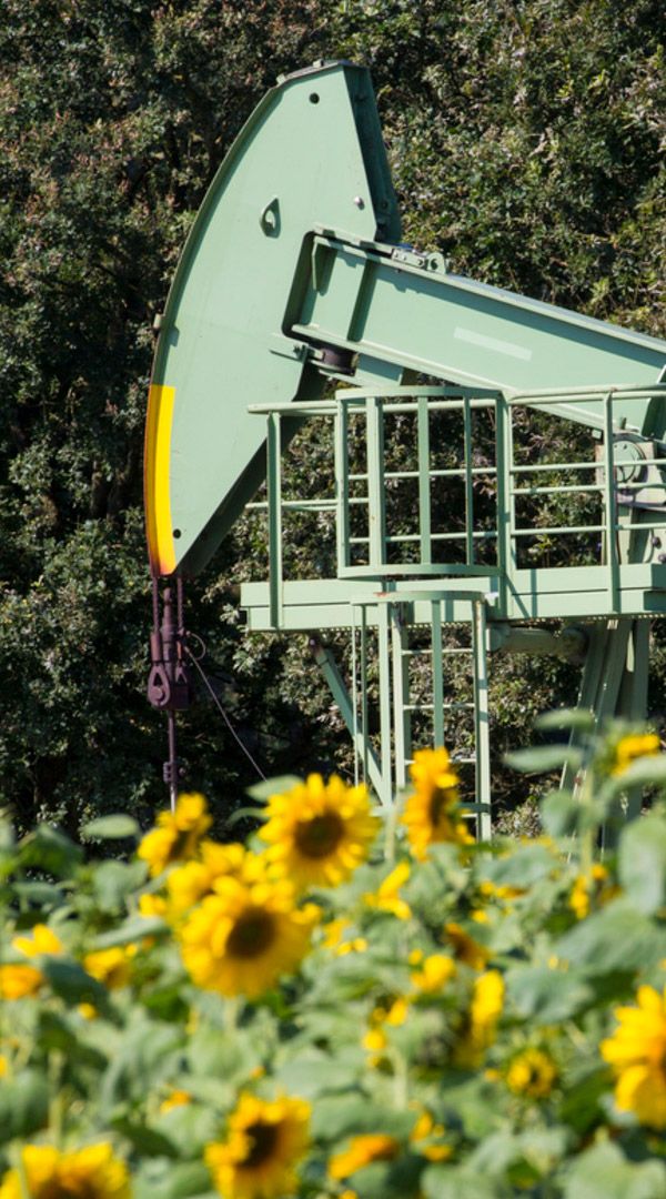 Wintershall Dea Commodities Sector Mobil